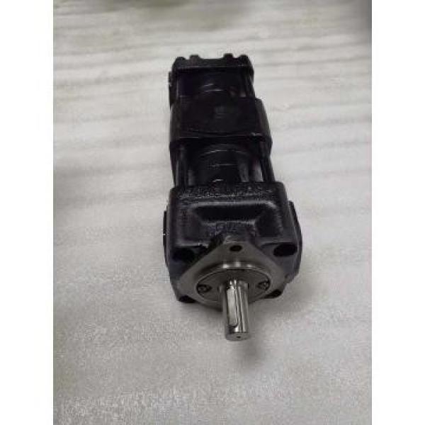 QT2323-6.3-6.3MN-S1162-A Japan Sumitomo QT Series Double Gear Pump #2 image
