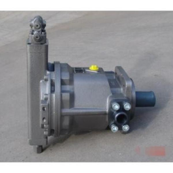 HY80Y-RP HY Series Axial Single Hydraulic Piston Pumps #2 image